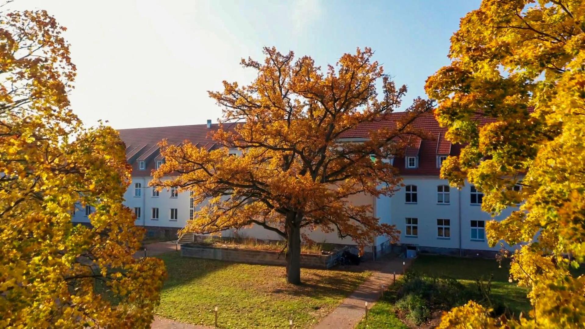 Parkresidenz Lychen, Ferienwohnung 6 Exterior photo